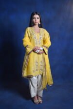 Mustard Yellow Embroidered Punjabi Suit Set with Organza Dupatta - Image 6
